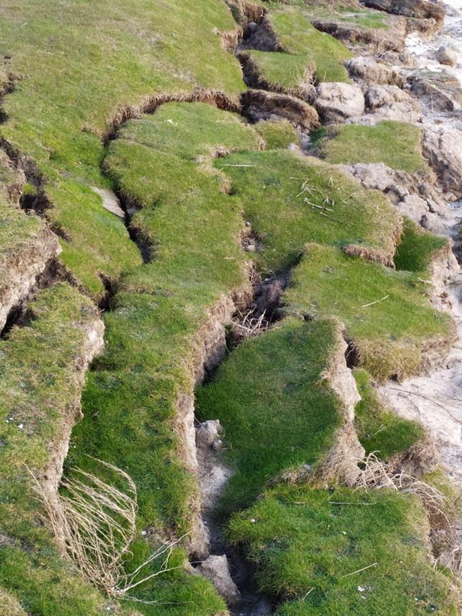 Vila La Genete Genêts Exteriér fotografie